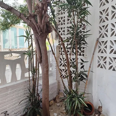 Casa Del Mar 펜션